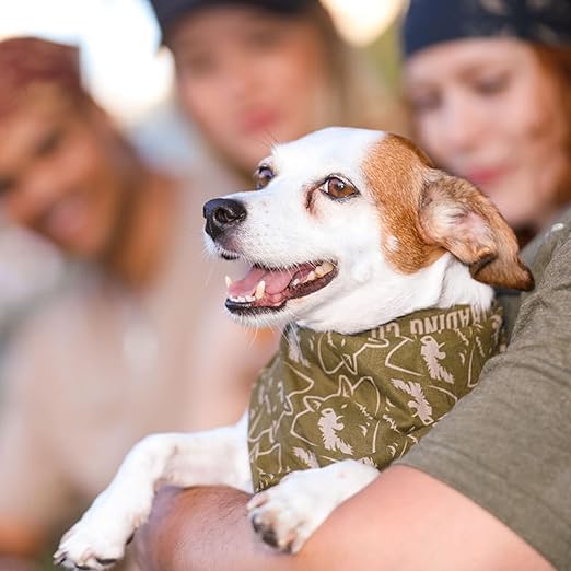 Matching dog and owner bandana Scruffy Dog