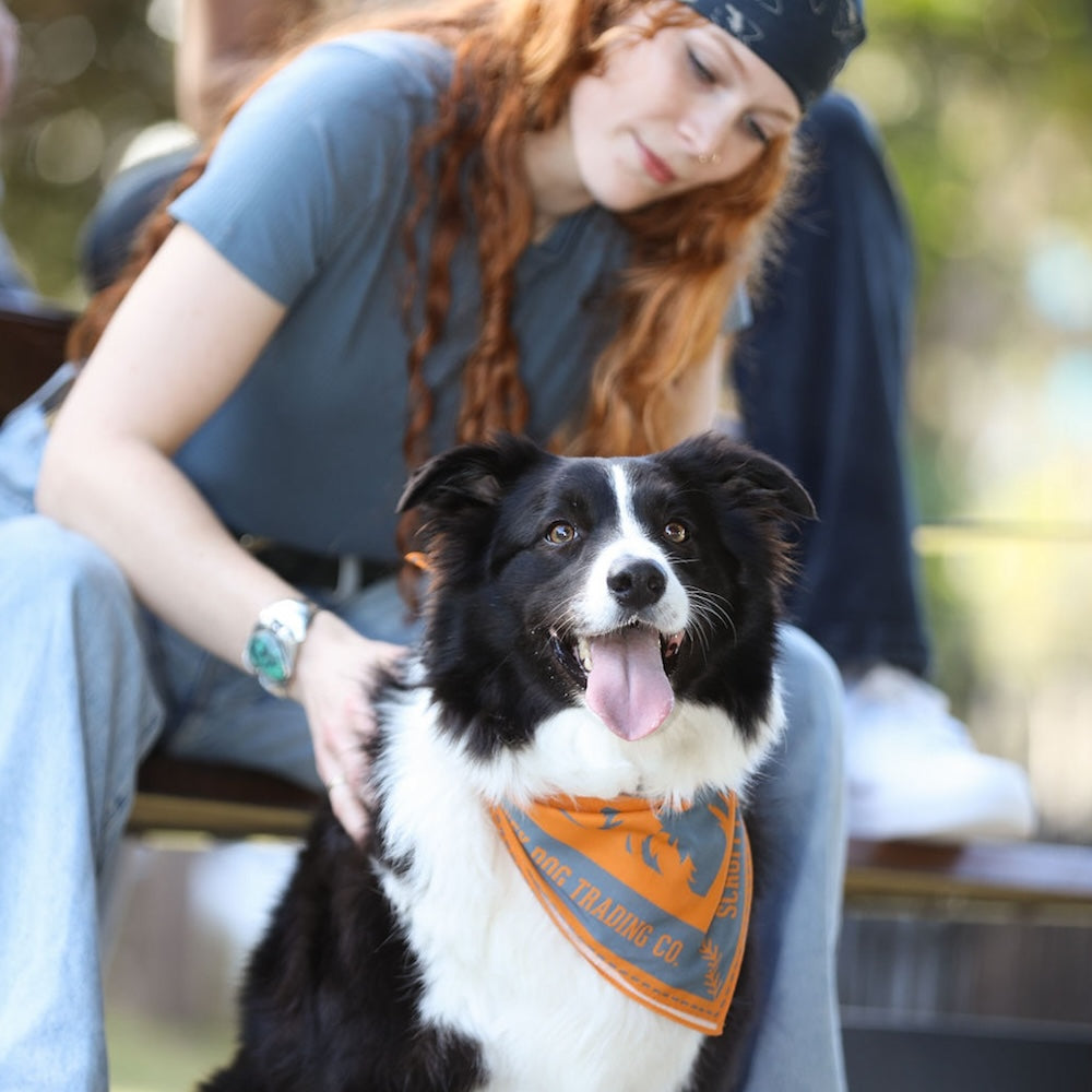 Premium Designer Bandana – Yellow & Blue
